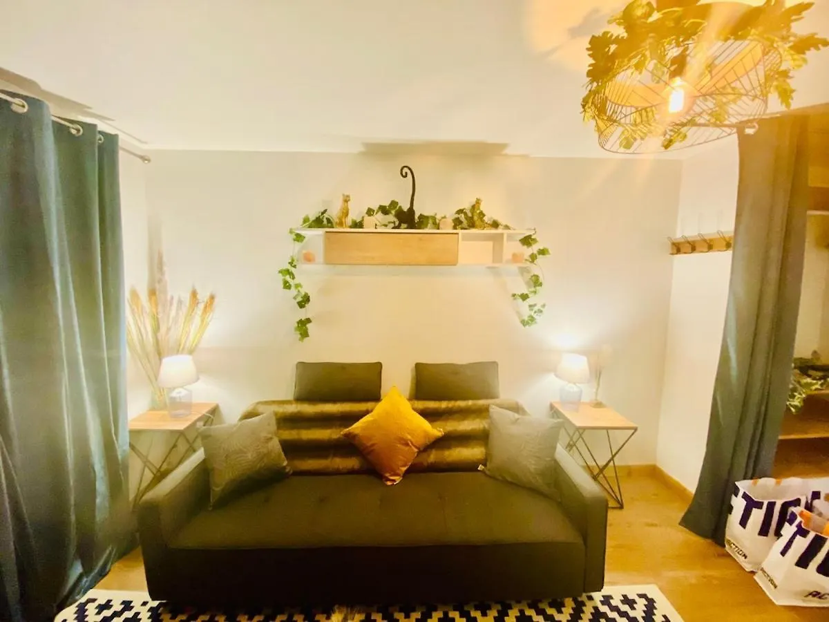 Ici, Dort Un Gorille Appartement Planay