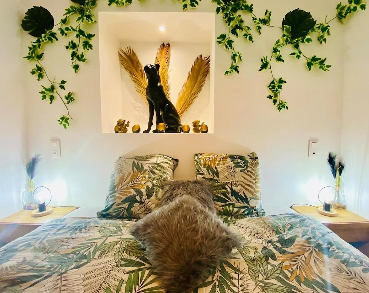 Ici, Dort Un Gorille Appartement Planay