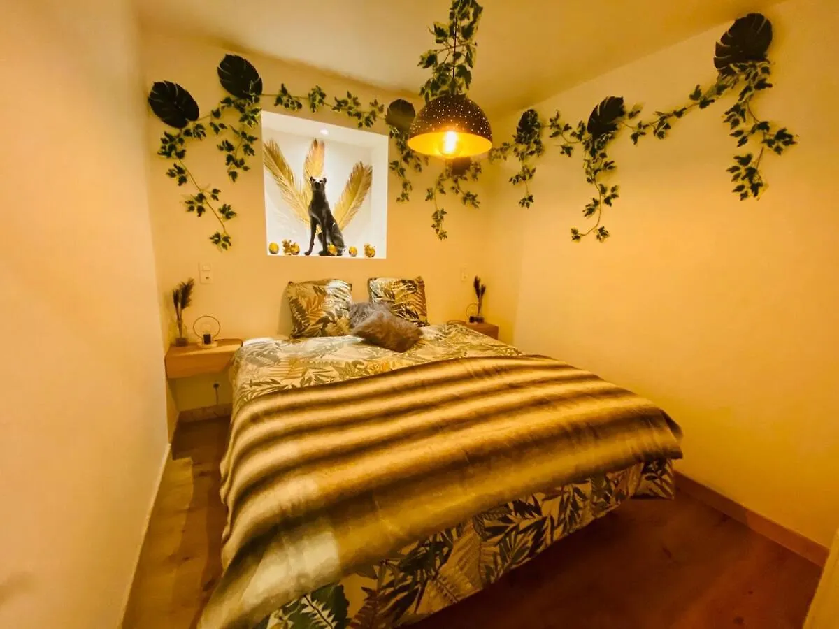 Ici, Dort Un Gorille Appartement Planay