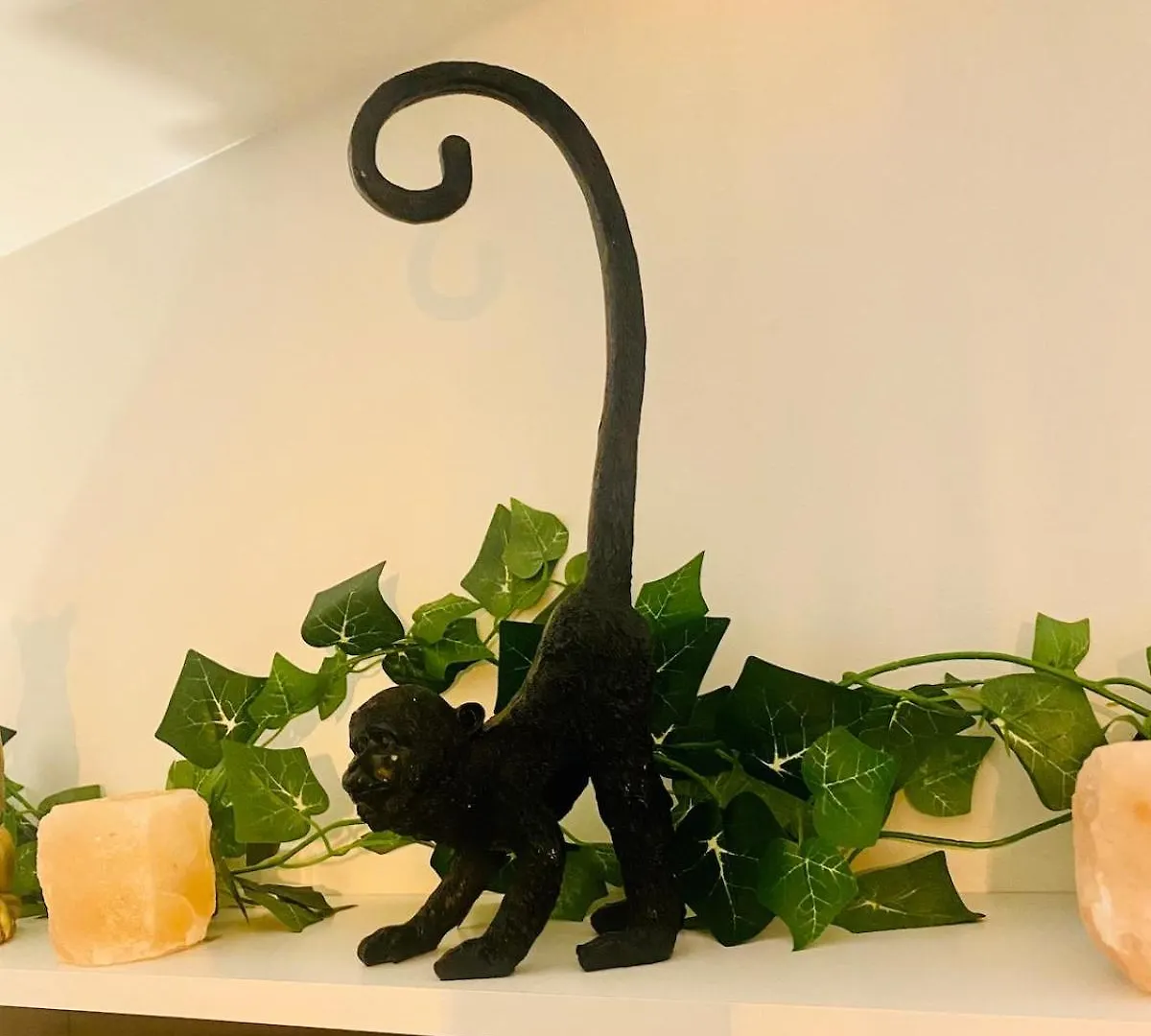 Ici, Dort Un Gorille Appartement Planay
