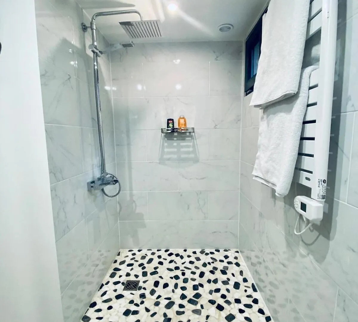 Ici, Dort Un Gorille Appartement Planay